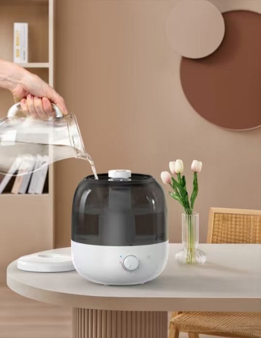 Humidificateurs : L’arme secrète contre l’air sec.